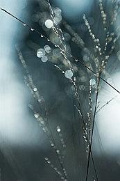 索尼游戏Steam销量泄露 《地平线：零之曙光》销量最好